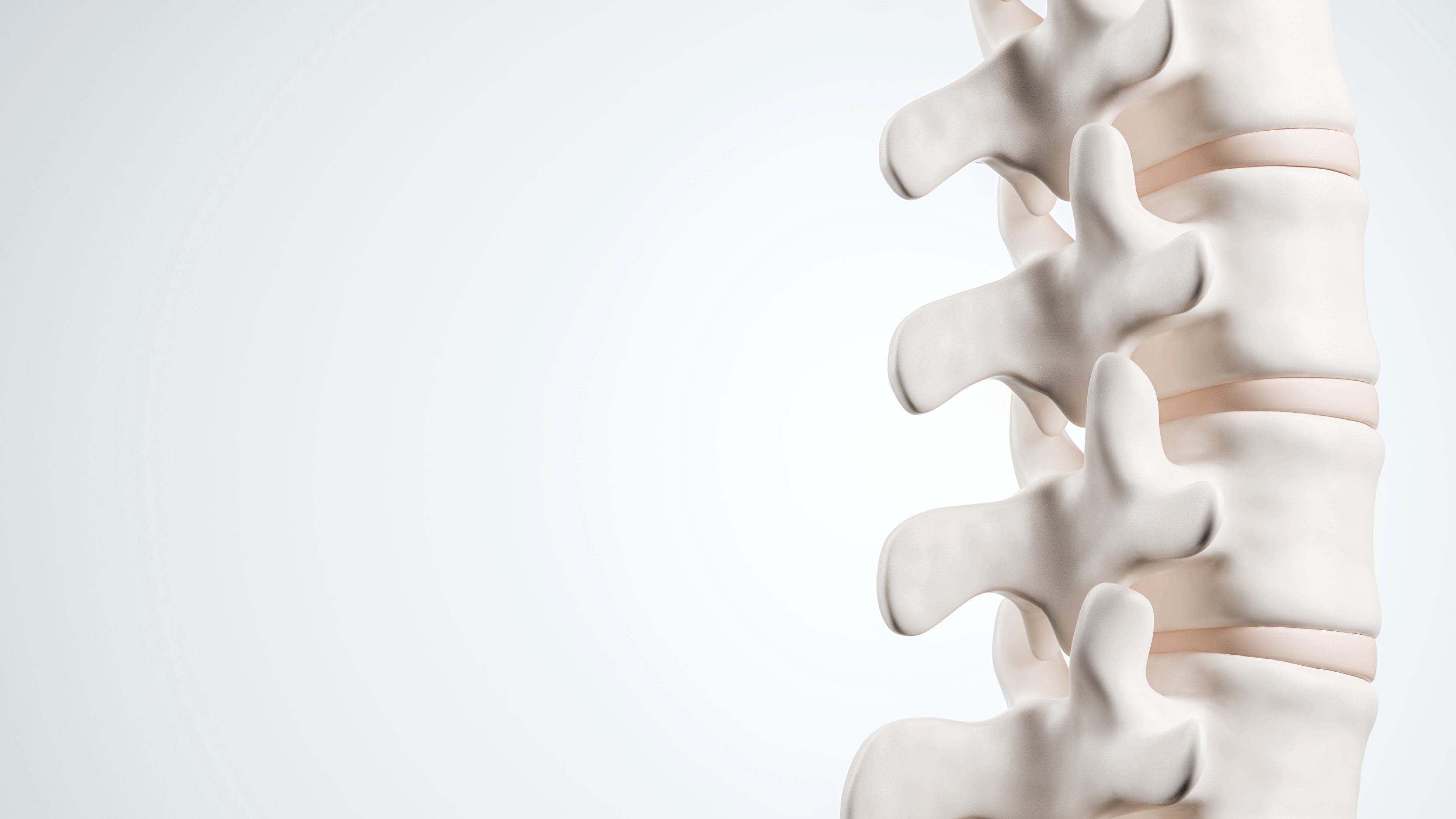 Beratung und Untersuchung